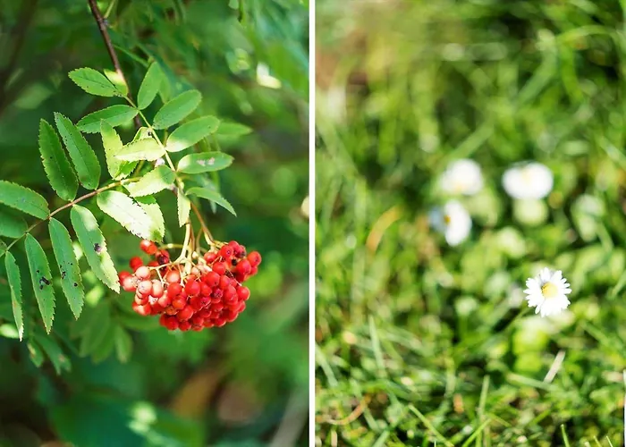 40717-ulfborg-hagevej-51 Σπίτι διακοπών